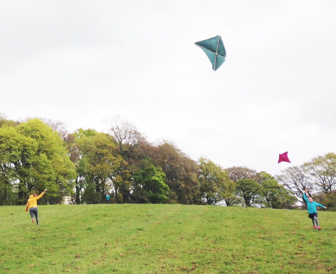 Do you fly a kite education resource