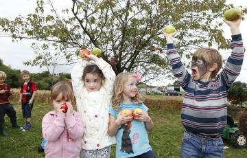 Youngsters enjoy exploring the orchard harvests