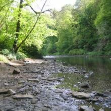 35km of new spawning area for salmonids in the River Avon is planned 