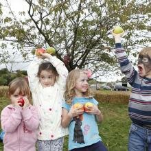 Youngsters enjoy exploring the orchard harvests