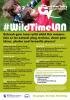 Go wild with WildTimeLAN: natural play sessions, ideas, photos and favourite places